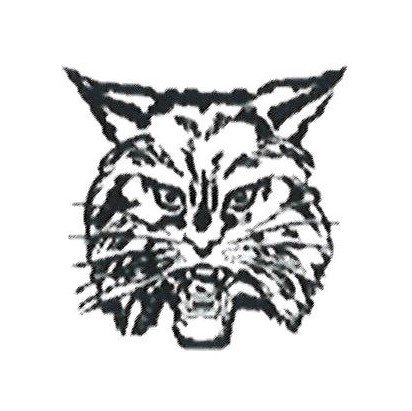 Salem High School